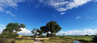 Namibia - Pirschfahrt im Buffalo Park  &ndash; &copy; Annett Müller (Eberhardt TRAVEL)