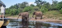 Botswana - Bootsfahrt auf dem Chobe River - Elefanten &ndash; &copy; Annett Müller (Eberhardt TRAVEL)