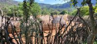 298 Mantenga Village