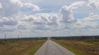33 Rushhour in Namibia