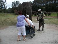 Knysna Elephant Park