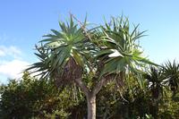 Panoramaroute Graskop