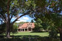 Oudtshoorn Straußenfarm