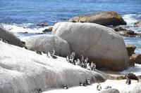 Boulders Beach
