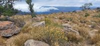 340 Blyde River Canyon