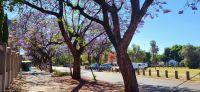 426 Pretoria