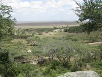 Am Eingang in die Serengeti, alle Fotos dieser Galerie: Günter Kieb