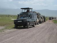 Auto Mensch Tier im NNP