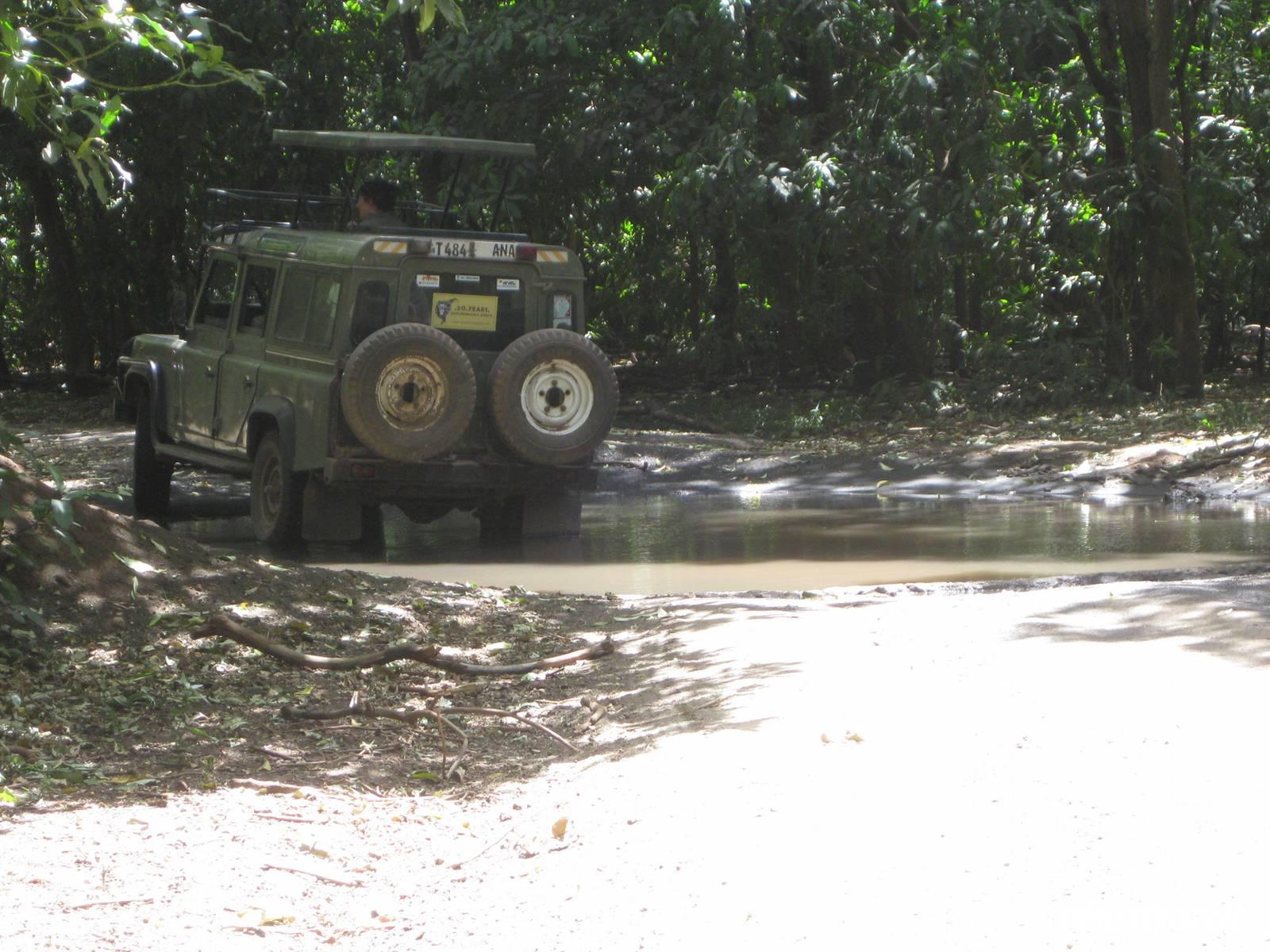 Da müssen wir auch durch im Manyara NP