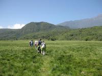 Fußmarsch im Arusha Nationalpark