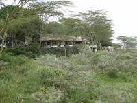 Hatari Lodge Arusha NP