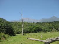 Im Arusha Nationalpark