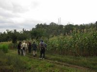 Im Maisfeld in Arusha