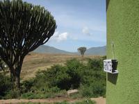 Letzte Möglichkeit für Herren im NNP