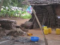 Makuti - Dachabdeckung aus Palmenblättern