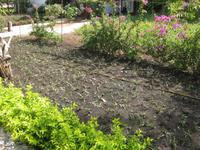 Rasenanzucht auf Sansibar