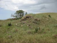 Reste altes deutsches Haus im Krater