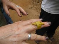 Schmuck von der Gewürzplantage