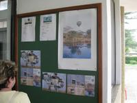 Serenget Balloon Safari