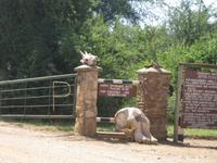 Serengeti-Ikoma Entrence Gate