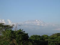 Schnee in Afrika: Auf dem Kilimanjaro