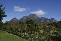 Boschendal - Winelands