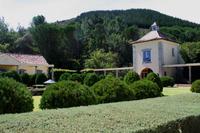 Stellenbosch - Weingut Morgenhof