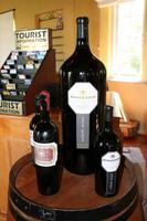 Stellenbosch - Weingut Morgenhof