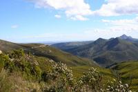 Auf dem Robinson Pass- 860  m