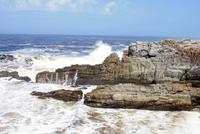 Tsitsikamma Nationalpark