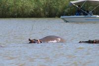 St. Lucia - Bootsfahrt