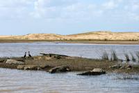 St. Lucia - Bootsfahrt