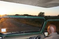 Krüger-Nationalpark - Jeepsafari