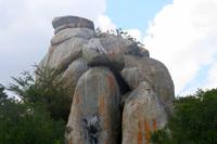 Krüger-Nationalpark - auf Pirsch