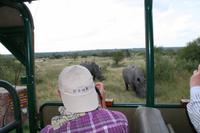 Krüger-Nationalpark - auf Pirsch