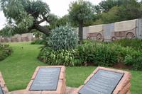 Voortrekker Monument mit Kohlbaum