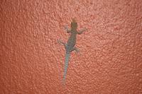 Abends in meinem Zimmer