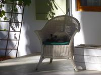 Terrasse im Kalahari Farmhaus 