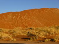 Sossusvlei 