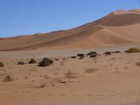 Sossusvlei 