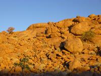 Namib Naukluft Lodge