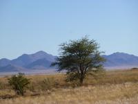 Namib Naukluft Lodge