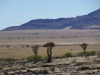 Fahrt nach Swakopmund