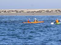 Lagunenfahrt Walvis Bay