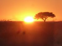 Etosha Nationalpark