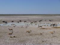 Etosha Nationalpark