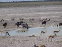 Etosha Nationalpark