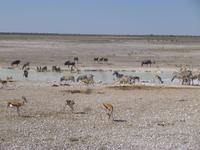Etosha Nationalpark