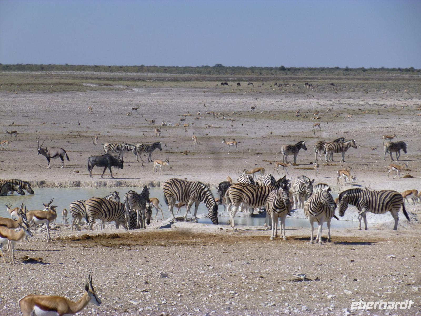 Etosha Nationalpark