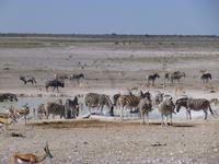 Etosha Nationalpark